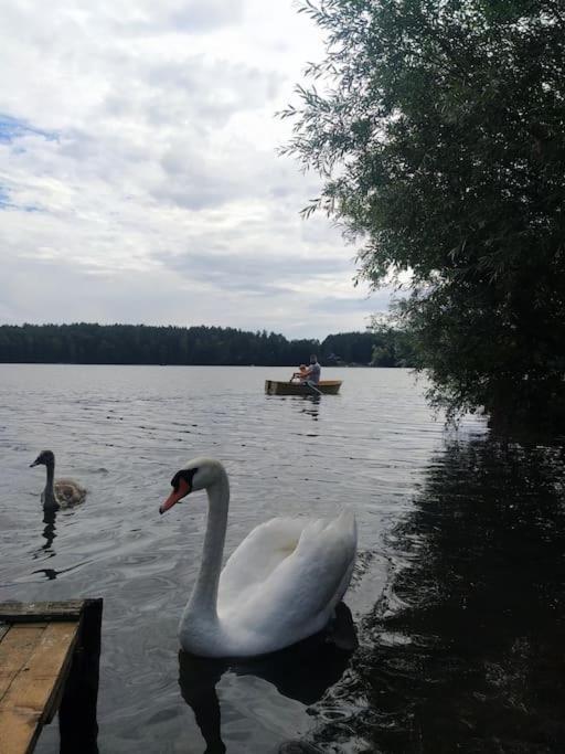 Wrzosowe Wzgorze - Domek Wiejski Klaczno Bagian luar foto
